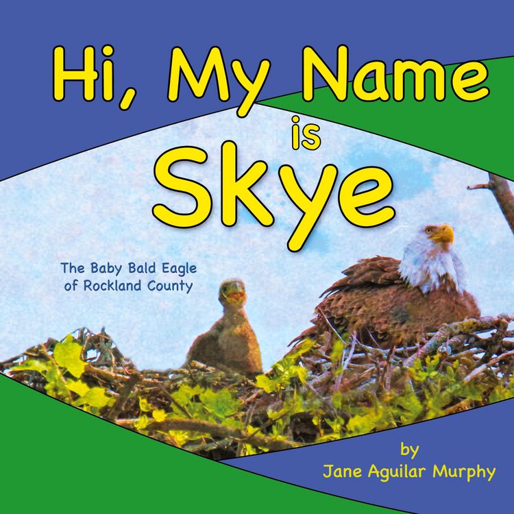 Produktbild: Hi, My Name is Skye