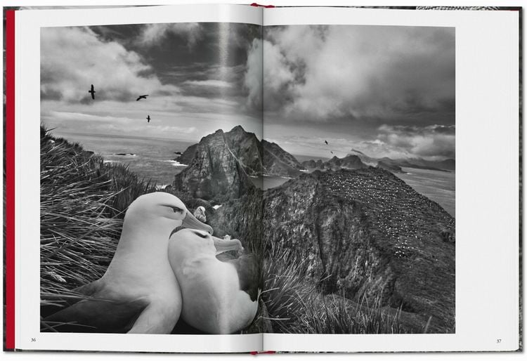 Produktbild: Sebasti&atilde;o Salgado