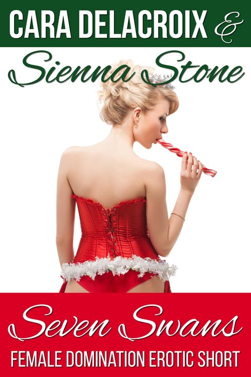 Produktbild: Seven Swans (Naughty Boys of Christmas, #3)