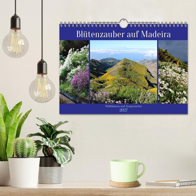 Produktbild: Bl&uuml;tenzauber auf Madeira. Wildblumen und Ziergew&auml;chse (Wandkalender 2027 DIN A4 quer), CALVENDO Monatskalender