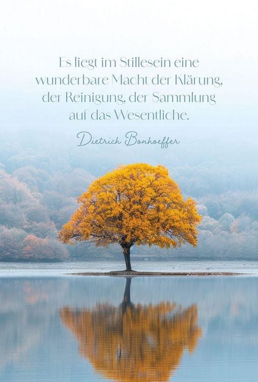 Produktbild: Beh&uuml;tet und getr&ouml;stet - Aufstellbuch
