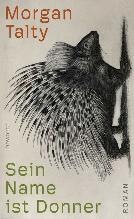Produktbild: Sein Name ist Donner
