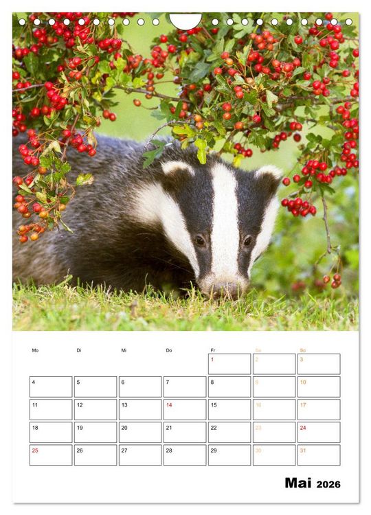 Produktbild: Wilde Tiere: Zuhause in Wald und Flur (Wandkalender 2026 DIN A4 hoch), CALVENDO Monatskalender