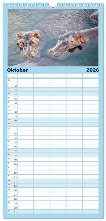 Produktbild: Familienplaner 2026 - Nilpferde, Kolosse in Afrika mit 5 Spalten (Wandkalender, 21 x 45 cm) CALVENDO