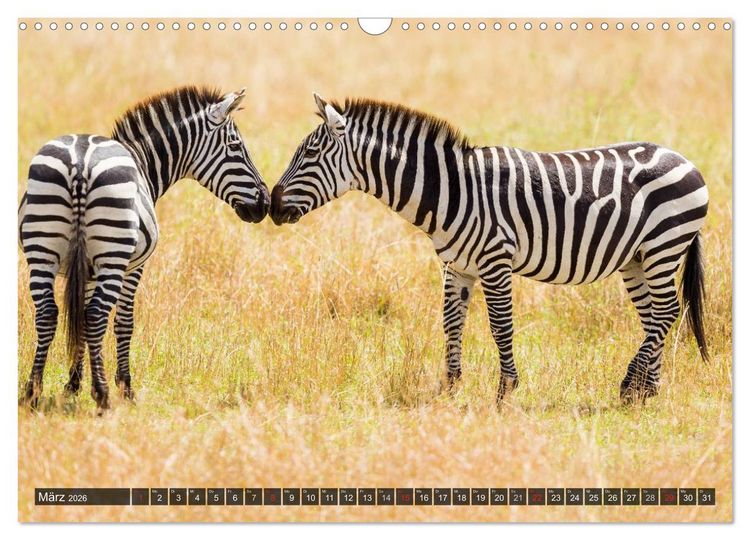 Produktbild: Kenia 2026 (Wandkalender 2026 DIN A3 quer), CALVENDO Monatskalender