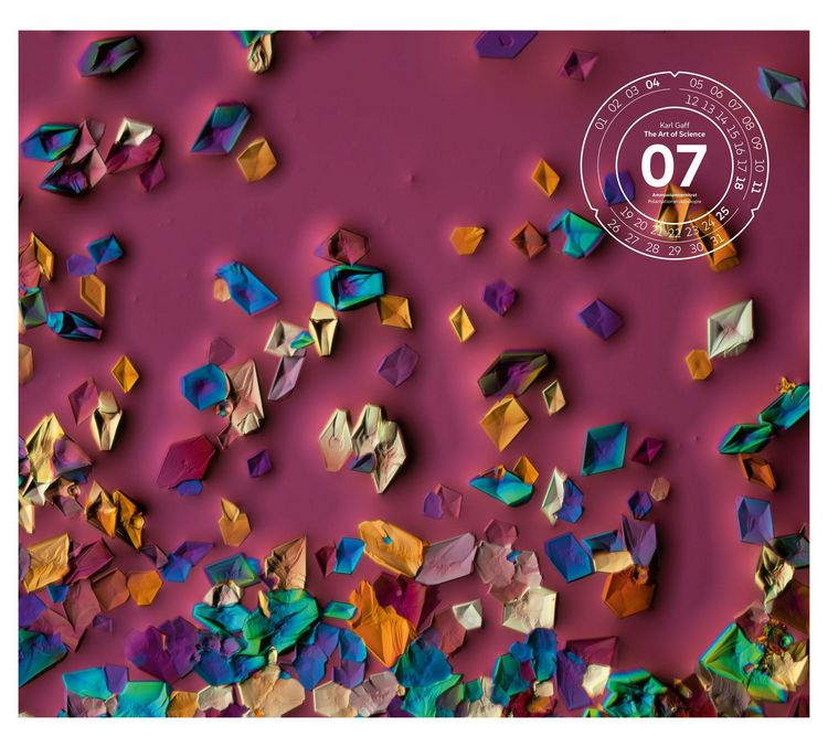 Produktbild: The Art of Science Kalender 2027 | Faszinierend-irisierende Mikroskopkunst