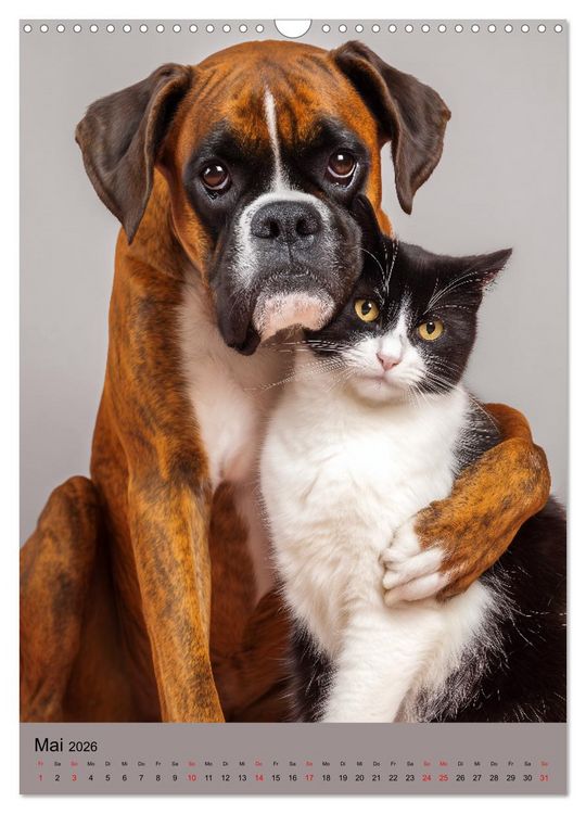 Produktbild: Freundschaftskalender - Katzen und Hunde, beste Freunde in Umarmung (Wandkalender 2026 DIN A3 hoch), CALVENDO Monatskalender