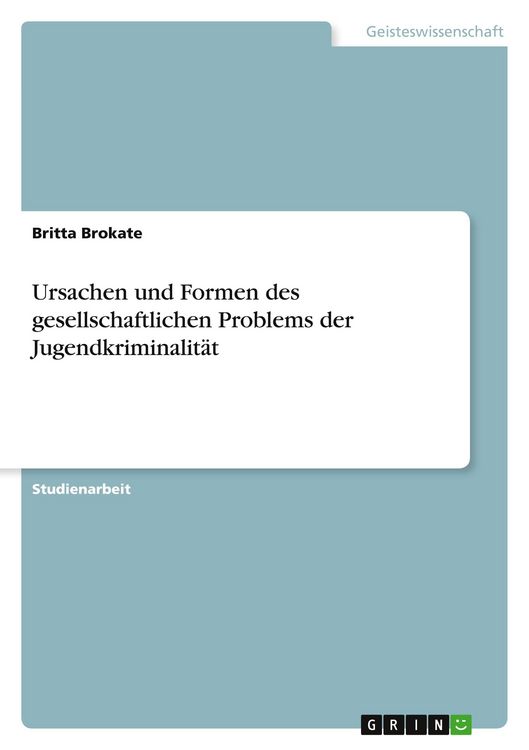 Produktbild: Ursachen und Formen des gesellschaftlichen Problems der Jugendkriminalit&auml;t