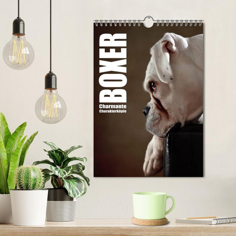 Produktbild: Boxer - Charmante Charakterk&ouml;pfe (Wandkalender 2026 DIN A4 hoch), CALVENDO Monatskalender