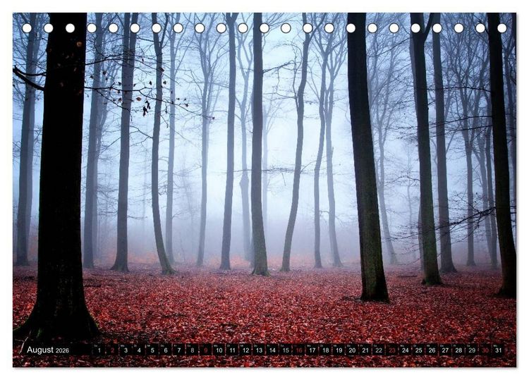 Produktbild: Zauberhafter Sachsenwald (Tischkalender 2026 DIN A5 quer), CALVENDO Monatskalender