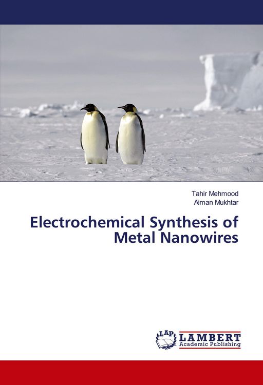 Produktbild: Electrochemical Synthesis of Metal Nanowires