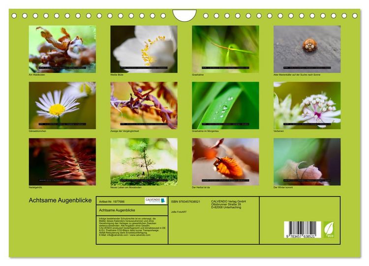 Produktbild: Achtsame Augenblicke (Wandkalender 2026 DIN A4 quer), CALVENDO Monatskalender