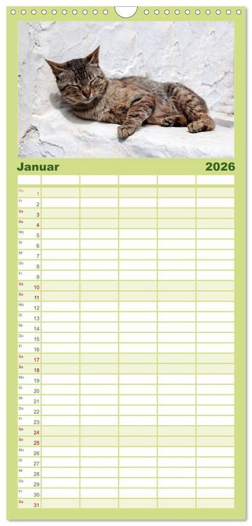 Produktbild: Familienplaner 2026 - Griechische Katzen mit 5 Spalten (Wandkalender, 21 x 45 cm) CALVENDO