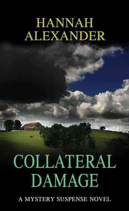 Produktbild: Collateral Damage
