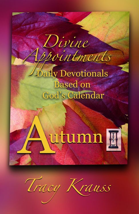Produktbild: Divine Appointments: Daily Devotionals Based on God's Calendar - Autumn