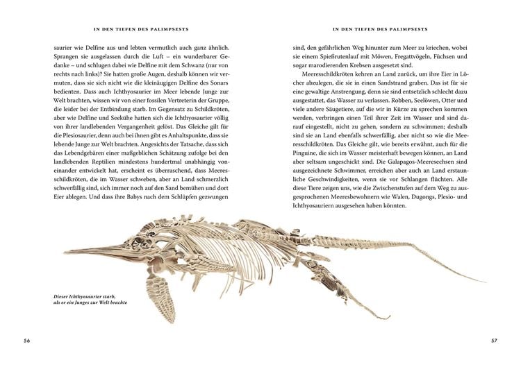 Produktbild: Das gro&szlig;e Buch der Evolution
