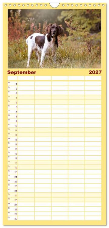 Produktbild: Familienplaner 2027 - Passion Jagdhund - Kleiner M&uuml;nsterl&auml;nder mit 5 Spalten (Wandkalender, 21 x 45 cm) CALVENDO
