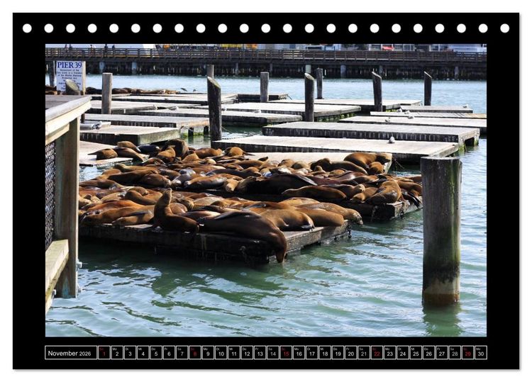 Produktbild: Wunderbares San Francisco (Tischkalender 2026 DIN A5 quer), CALVENDO Monatskalender