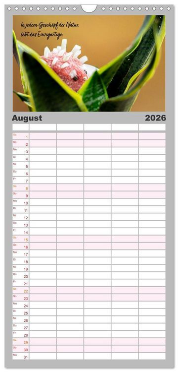 Produktbild: Familienplaner 2026 - Mettkalender - Mettigel Edition mit 5 Spalten (Wandkalender, 21 x 45 cm) CALVENDO
