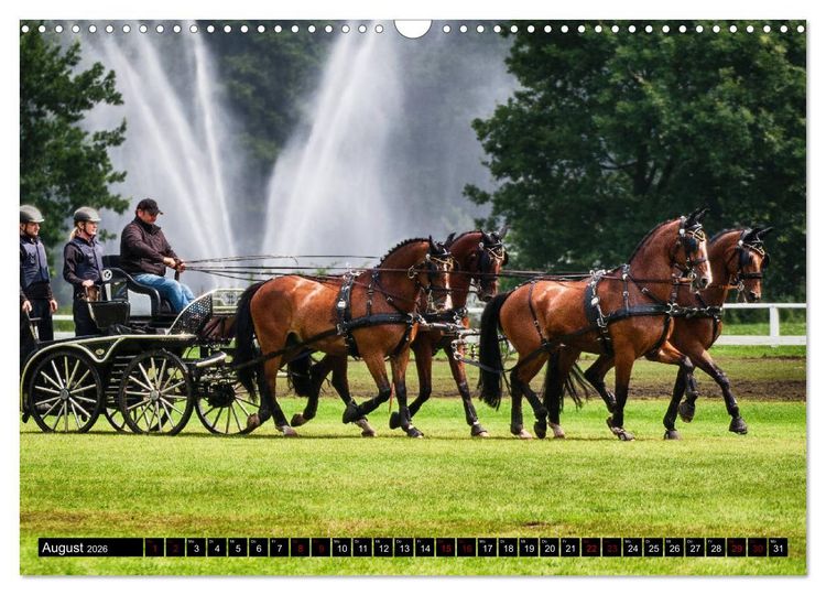 Produktbild: Fahrpferde in Aktion (Wandkalender 2026 DIN A3 quer), CALVENDO Monatskalender