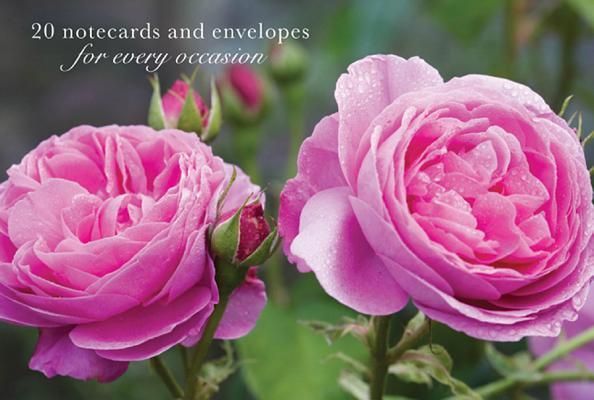 Produktbild: Card Box Of 20 Notecards & Env