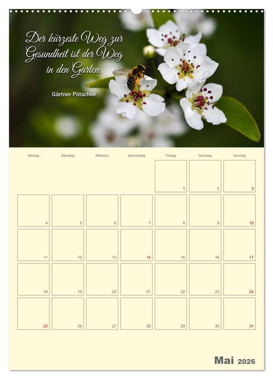 Produktbild: Gartenliebe (Wandkalender 2026 DIN A2 hoch), CALVENDO Monatskalender