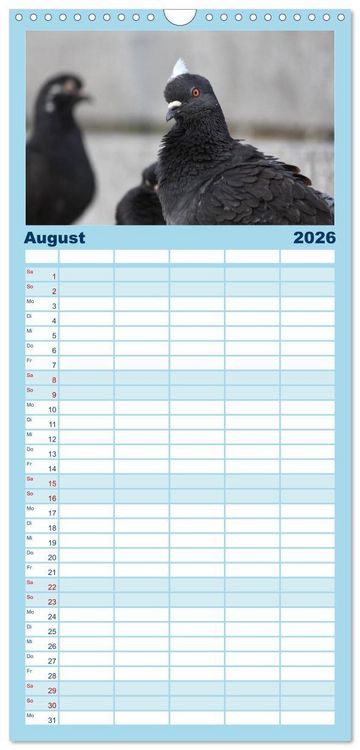 Produktbild: Familienplaner 2026 - Geliebte Tauben mit 5 Spalten (Wandkalender, 21 x 45 cm) CALVENDO