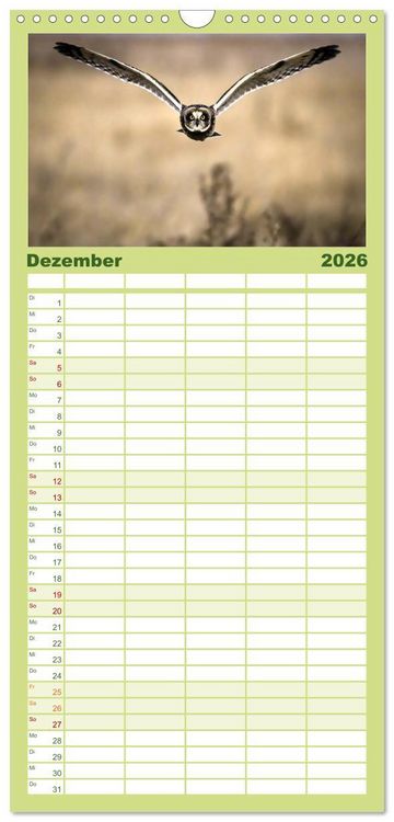 Produktbild: Familienplaner 2026 - Eulen - Wachsame und geheimnisvolle Augen mit 5 Spalten (Wandkalender, 21 x 45 cm) CALVENDO