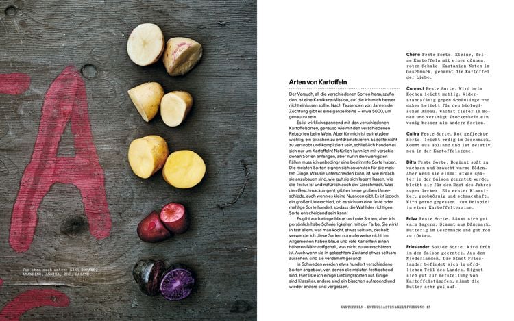 Produktbild: Kartoffelk&uuml;che