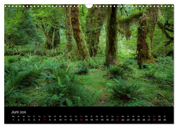 Produktbild: Das "gr&uuml;ne" Nordamerika - Kanada und USA (Wandkalender 2026 DIN A3 quer), CALVENDO Monatskalender