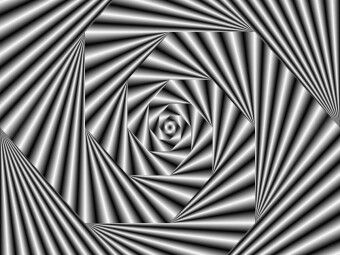 Produktbild: CALVENDO Puzzle Zebra-Illusion | 1000 Teile Lege-Gr&ouml;&szlig;e 64x48cm Foto-Puzzle f&uuml;r gl&uuml;ckliche Stunden