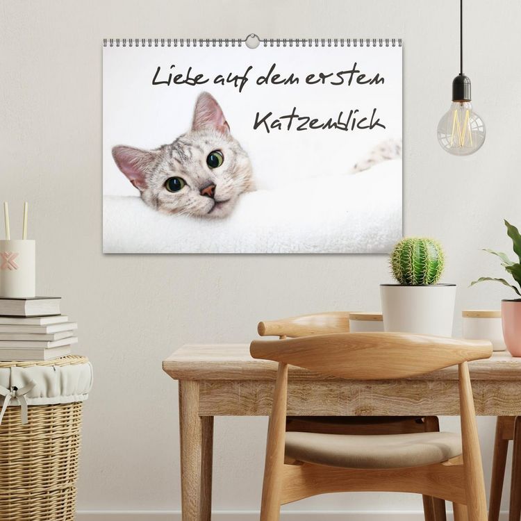 Produktbild: Liebe auf den ersten Katzenblick (Wandkalender 2026 DIN A3 quer), CALVENDO Monatskalender