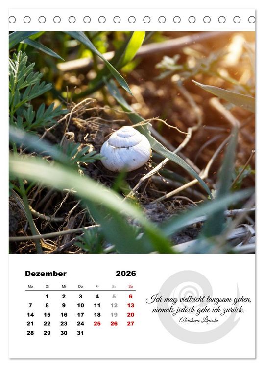 Produktbild: Schnecklein (Tischkalender 2026 DIN A5 hoch), CALVENDO Monatskalender
