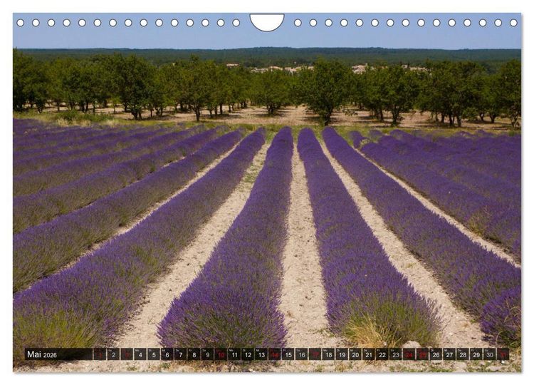 Produktbild: Le Midi - Impressionen aus Frankreichs S&uuml;den (Wandkalender 2026 DIN A4 quer), CALVENDO Monatskalender