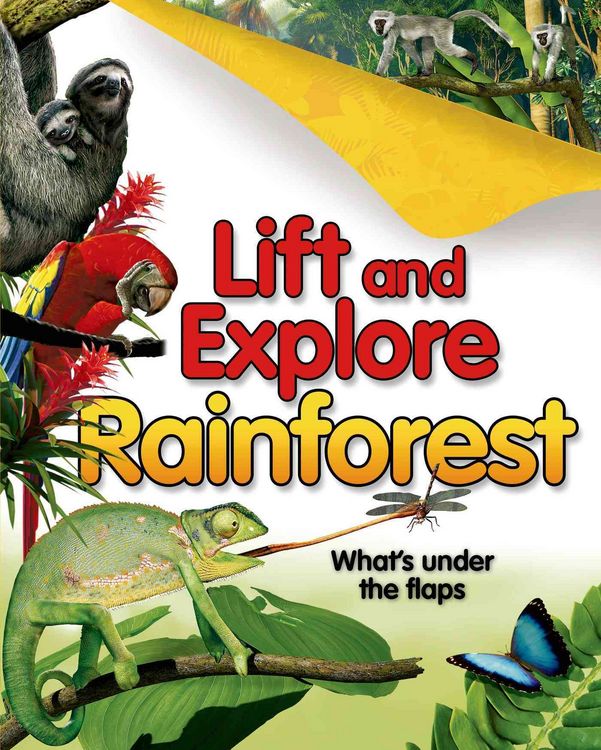 Produktbild: Lift & Explore Rainf-Lift Flap