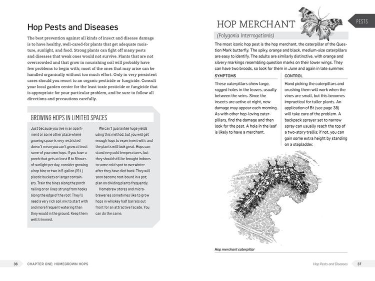 Produktbild: The Homebrewer's Garden, 2nd Edition