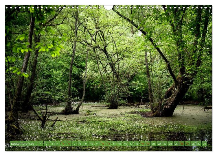 Produktbild: Les Hauts-de-France (Calendrier mural 2026 DIN A3 vertical), CALVENDO calendrier mensuel