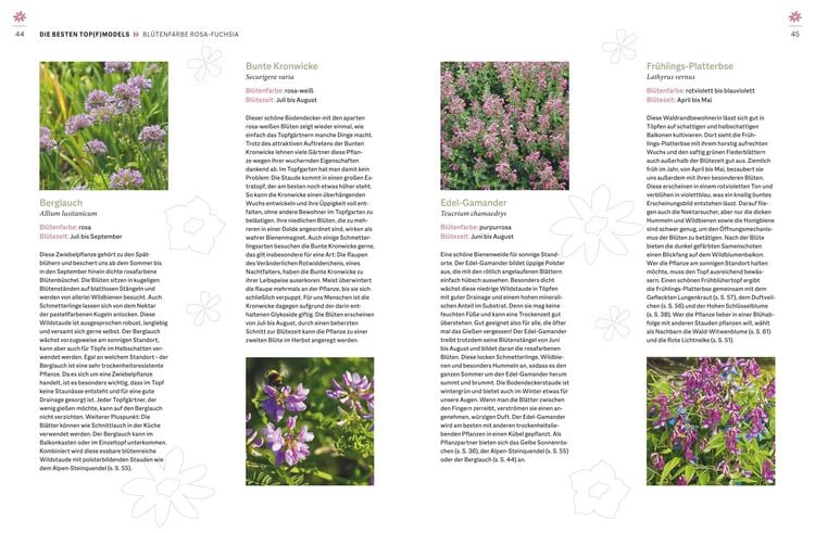 Produktbild: Wildblumen f&uuml;r Balkon und Terrasse