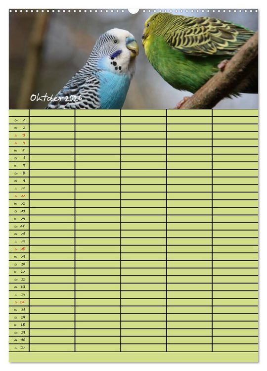 Produktbild: Der Wellensittich-Familienplaner (hochwertiger Premium Wandkalender 2026 DIN A2 hoch), Kunstdruck in Hochglanz
