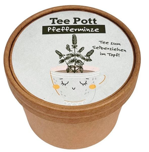 Produktbild: Teepott Pfefferminz