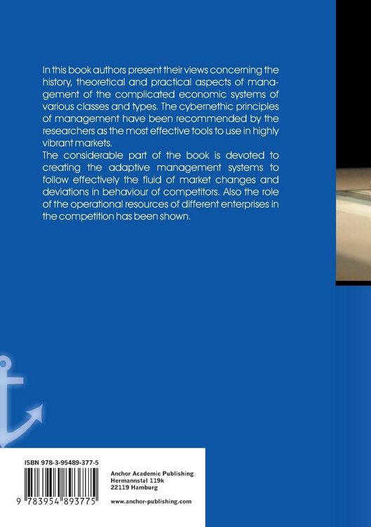 Produktbild: Managing economic systems within competitive markets (published in russian)