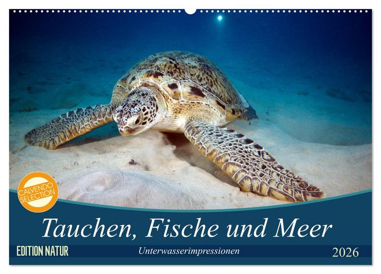 Produktbild: Tauchen, Fische und Meer (Wandkalender 2026 DIN A2 quer), CALVENDO Monatskalender