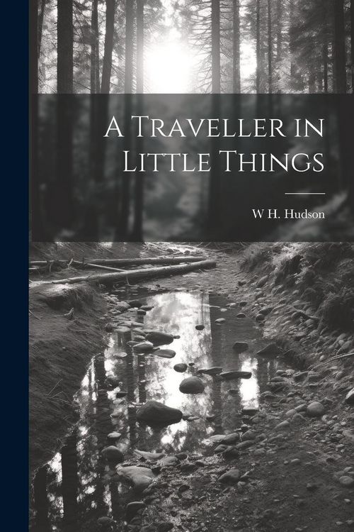 Produktbild: A Traveller in Little Things