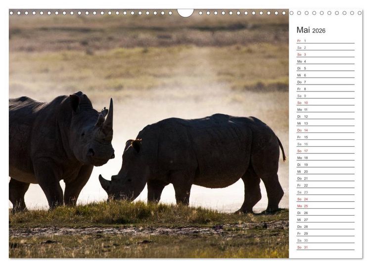 Produktbild: Emotionale Momente: Nash&ouml;rner (Wandkalender 2026 DIN A3 quer), CALVENDO Monatskalender