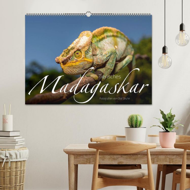 Produktbild: Tierisches Madagaskar (Wandkalender 2026 DIN A2 quer), CALVENDO Monatskalender