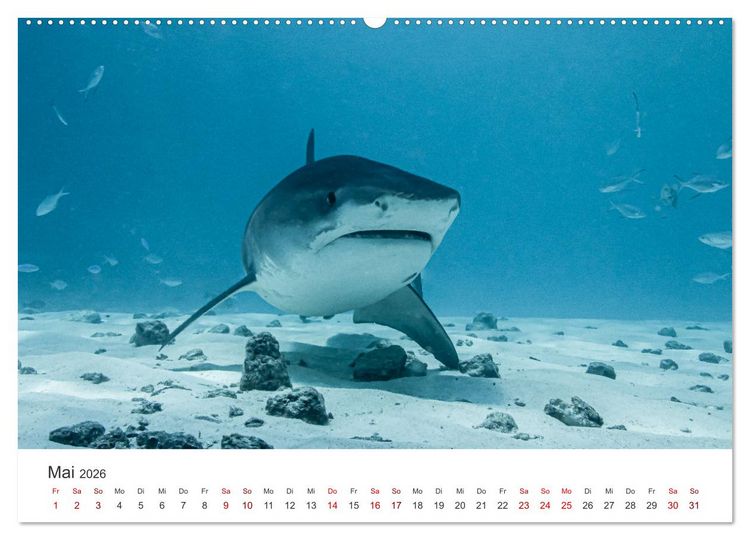 Produktbild: Faszination blaue Welt (hochwertiger Premium Wandkalender 2026 DIN A2 quer), Kunstdruck in Hochglanz
