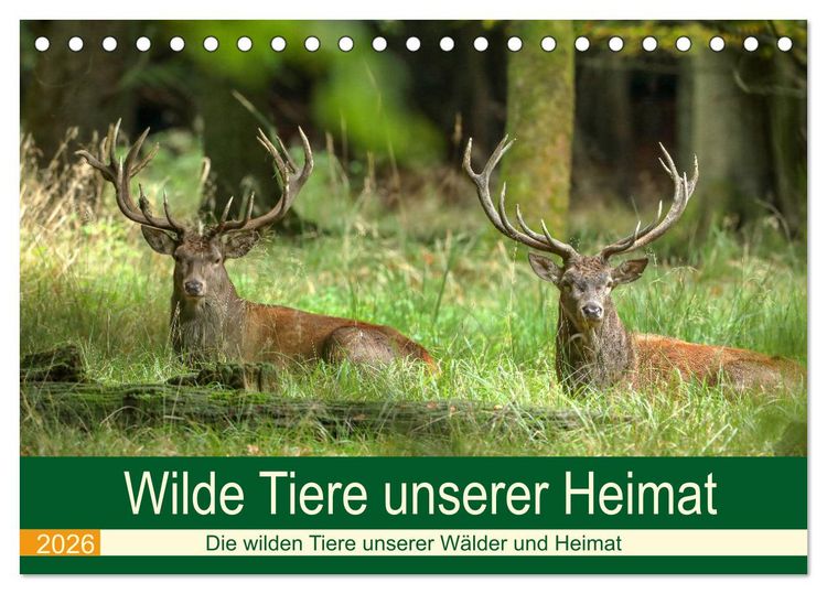Produktbild: Wilde Tiere unserer Heimat (Tischkalender 2026 DIN A5 quer), CALVENDO Monatskalender