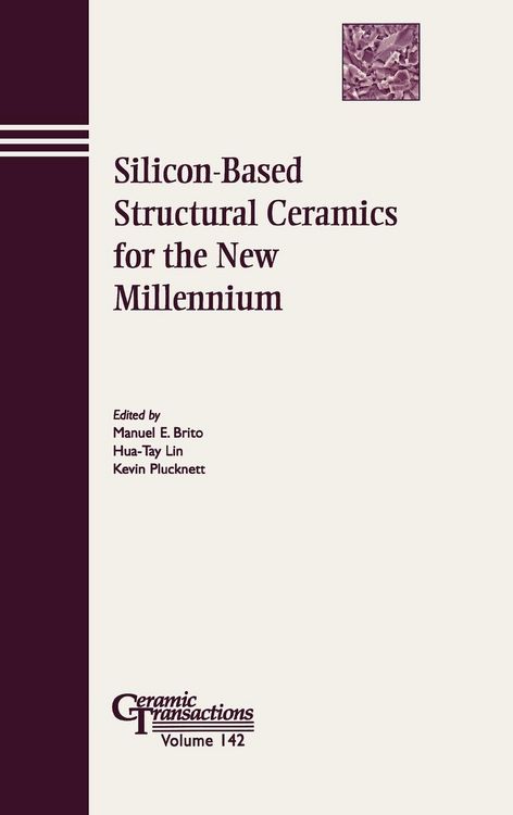 Produktbild: Silicon-Based CT Vol 142