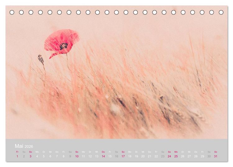 Produktbild: Zauber des Mohns (Tischkalender 2026 DIN A5 quer), CALVENDO Monatskalender