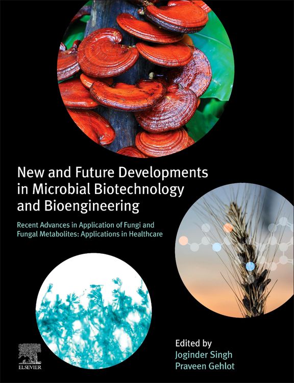Produktbild: New and Future Developments in Microbial Biotechnology and Bioengineering